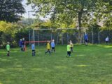 Mini Toernooitje op Sportpark Het Springer met S.K.N.W.K. JO7 en De Jonge Spartaan JO7 (160/174)